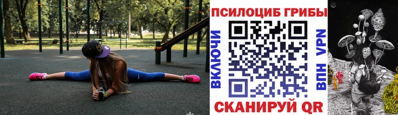 Псилоцибиновые грибы мухоморы  Гудермес 